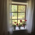Asiakaskuva Puolipellava Voile Rand - Valkoinen - 150 cm