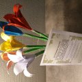 Asiakaskuva Värillinen paperi A4, 80 gr, 100 arkkia