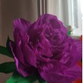 Asiakaskuva Kreppipaperi 50 x 250 cm - vihre�