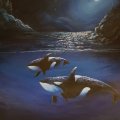 Asiakaskuva Maali akryylilohko 400 g 30x40 cm