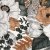 Kuviollinen trikoo 150 cm - Anemon Gold