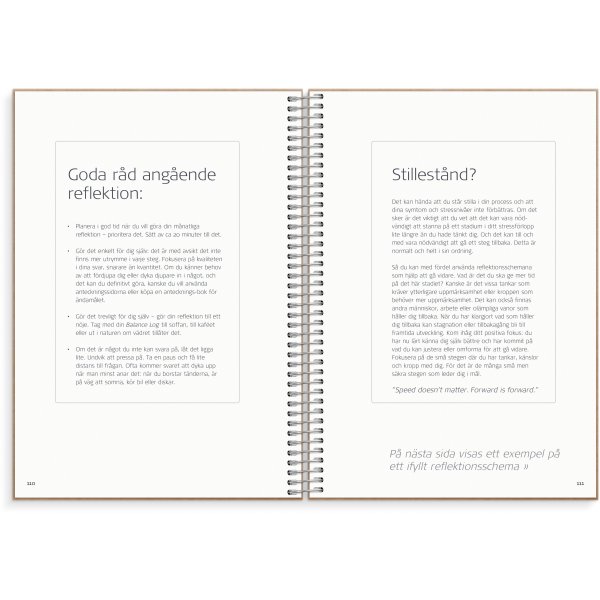 Tasapainoloki Tasapainoloki