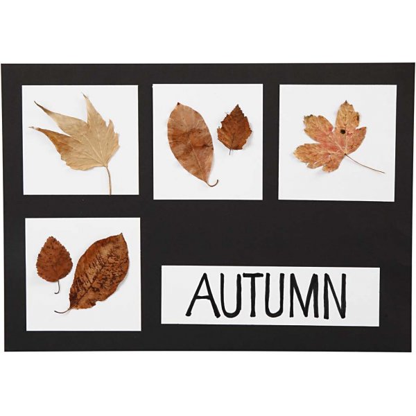 Pahvi - mustavalkoinen A2, A3, A4 - 600 kpl Pahvi - mustavalkoinen A2, A3, A4 - 600 kpl