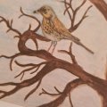 Asiakaskuva Akvarellikyn� Albrecht D�rer - 177 Walnut Brown