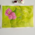 Asiakaskuva Rembrandt Watercolour 1/2 Cup - Punainen-2-Kinakridoniruusu