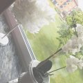 Asiakaskuva Koristeh�yhen 50-100 mm - vanilja 10 g ~ 110 kpl