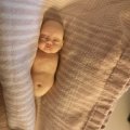 Asiakaskuva Muovailuvaha Fimo Professional 57 g - Lehdenvihre�