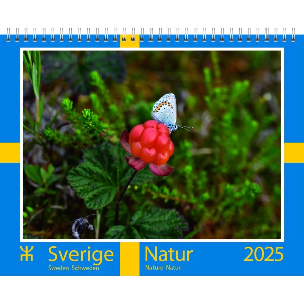 Seinkalenteri - Ruotsi - Almanacksfrlaget
