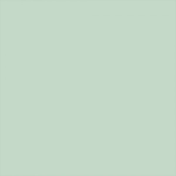 Plus Color Hobby maali - kevnvihre - 60 ml