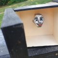 Asiakaskuva K�sittelem�t�n puulaatikko - 13x13x7,5 cm