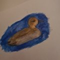 Asiakaskuva Akvarellikyn� Albrecht D�rer - 247 Indanthren Blue