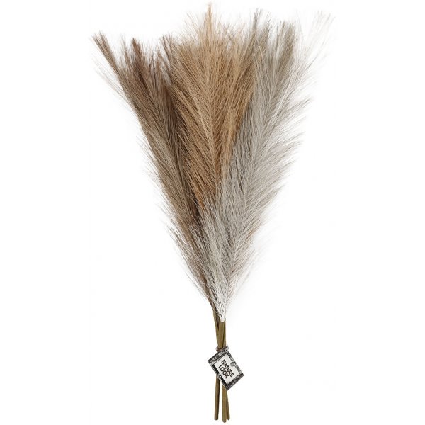 Pampasruoho - norsunluu - vaaleanruskea - vaaleanharmaa - 3 kpl Pampasruoho - norsunluu - vaaleanruskea - vaaleanharmaa - 3 kpl