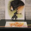 Asiakaskuva V�rikyn� Polychromos - 199 musta