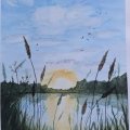 Asiakaskuva Akvarellimaali W&N Cotman 8ml Tube - 119 kadmiuminkeltainen vaalea s�vy