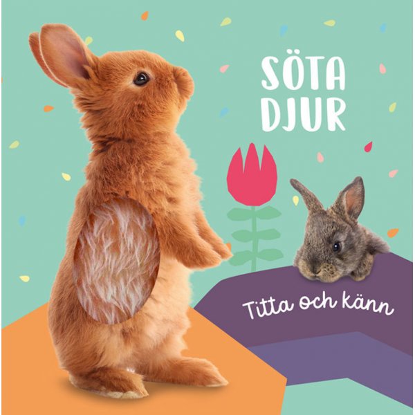 Ulkonk ja tuntuma: Spj elimi