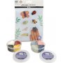Mini DIY Kit - hynteiset