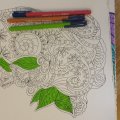 Asiakaskuva Kuituk�rkikyn� Triplus Color 1 mm - Ruohonvihre�