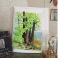 Asiakaskuva Akvarelli akvarellilohko 360 x 480 mm