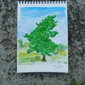 Asiakaskuva Canson XL Aquarelle 300g - A5