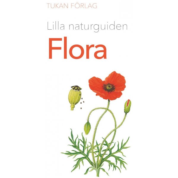 Pieni luontoopas: Flora