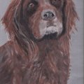 Asiakaskuva Puuvillakangas 380g - 24x30 cm