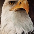 Asiakaskuva Akryyliharkko Hahnem�hle 330g - 24x32cm
