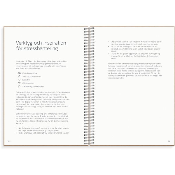 Tasapainoloki Tasapainoloki