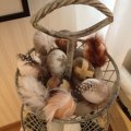 Asiakaskuva Marabou h�yhen 80 - 100 mm - ruskea 2 g ~ 22 kpl.