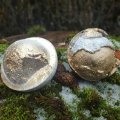 Asiakaskuva Muovipallo 140 mm - kristallinkirkas erotettavissa reikill� (PS)
