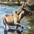 Asiakaskuva Canvas 10 kpl 30x40 cm