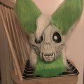 Asiakaskuva Gorillan turkki - lime