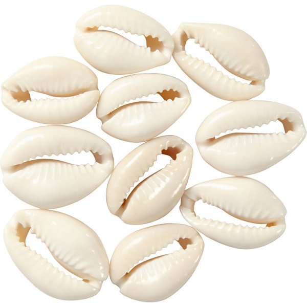 Seashells - luonnolliset - 12 kpl Seashells - luonnolliset - 12 kpl