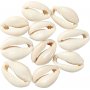 Seashells - luonnolliset - 12 kpl