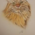 Asiakaskuva Accademia-piirustuslehti�, 297x420 mm