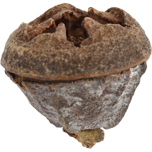 Eukalyptuskäpyjä - 25 g Eukalyptuskäpyjä - 25 g