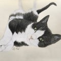 Asiakaskuva V�rikyn� Polychromos - 199 musta
