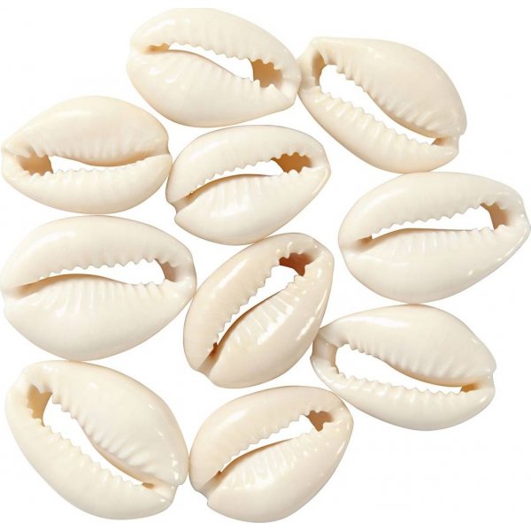 Seashells - luonnolliset - 12 kpl