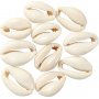 Seashells - luonnolliset - 12 kpl
