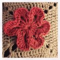 Asiakaskuva DROPS Belle Uni Color lanka - 50g - Vanha pinkki (11)