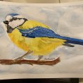 Asiakaskuva Akvarellikyn� Cretacolor Marino - sammaleenvihre� tumma (182)