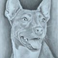 Asiakaskuva V�rillinen paperi 50 x 70 cm - s�teilev� valkoinen 10 arkkia / 130 g / m�