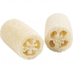Luonnonv�rinen luffasieni 10 cm � 5,5-8 cm Vaalea luonto 2 kpl