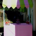 Asiakaskuva Puuvillakangas / Lakanakangas / Yleiskangas - V�rikoodi: 710 - lime - 148 cm
