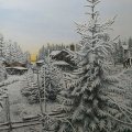 Asiakaskuva Akryylimaali W&N Galeria 120ml - 346 Sitruunankeltainen
