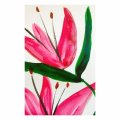 Asiakaskuva Akvarellimaali W&N Cotman Half cup - 580 Rose madder -s�vy