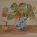Asiakaskuva Vesiv�ripala Britannia 300g Kuumapuristettu - 24x32cm