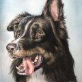 Asiakaskuva Akvarellilohko Kuumapuristetut Kaaret 300g - 36x51 cm