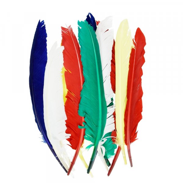 Intialaiset hyhenet 20 - 30 cm - useita vrej sekoitettuna 10 kpl