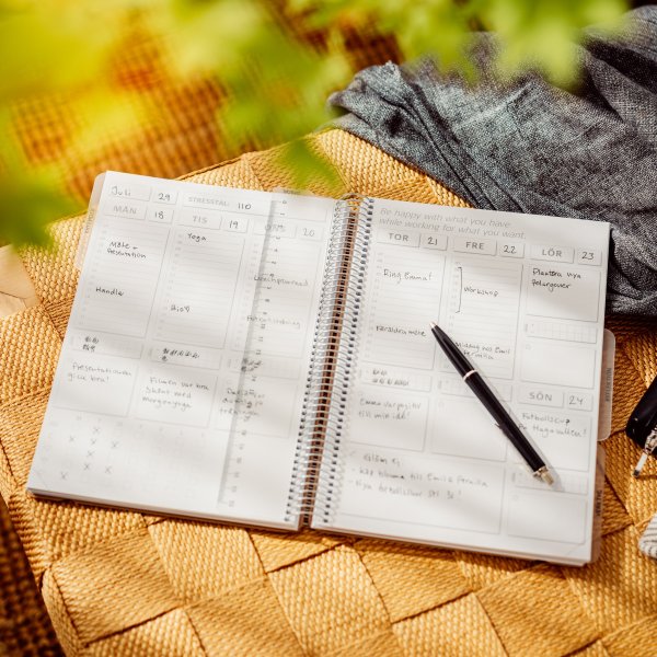 Tasapainoloki Tasapainoloki