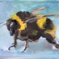 Asiakaskuva Talens Gouache - valkoinen